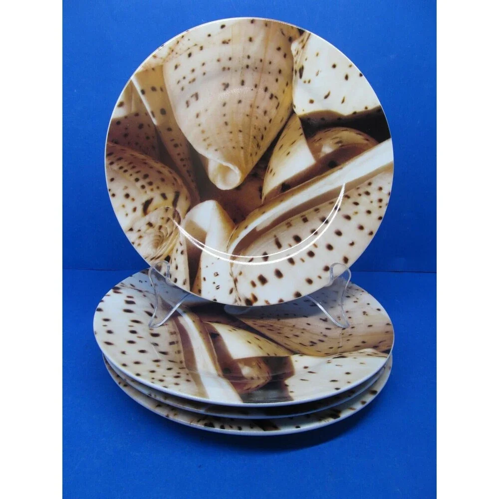 Pier 1 Seashell 8